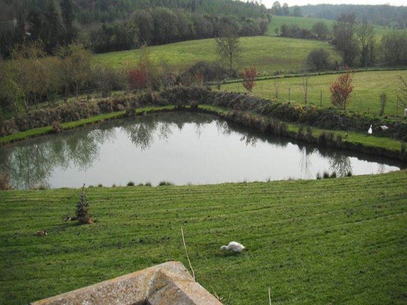 Dawn House B&B Kilmeaden Экстерьер фото