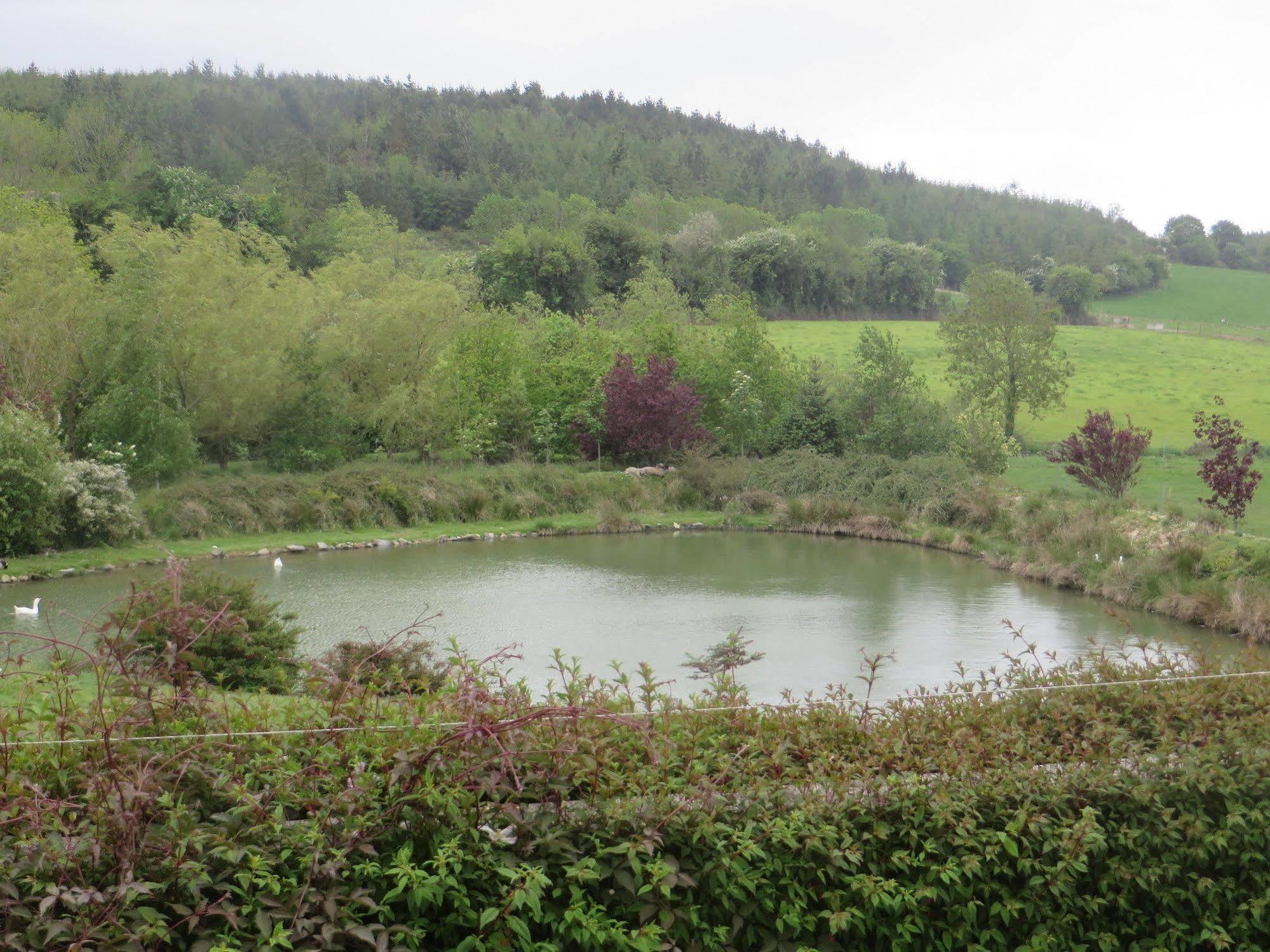 Dawn House B&B Kilmeaden Экстерьер фото